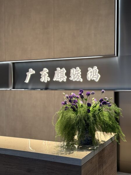 La CINA FOSHAN QIJUNHONG PLASTIC PRODUCTS MANUFACTORY CO.,LTD Profilo Aziendale